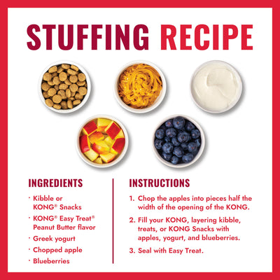 Kong Holiday Stuff-A-Ball Dog Toy - KONG stuffing recipe with kibble, yogurt, apple and blueberries - Kong - PetMax Canada