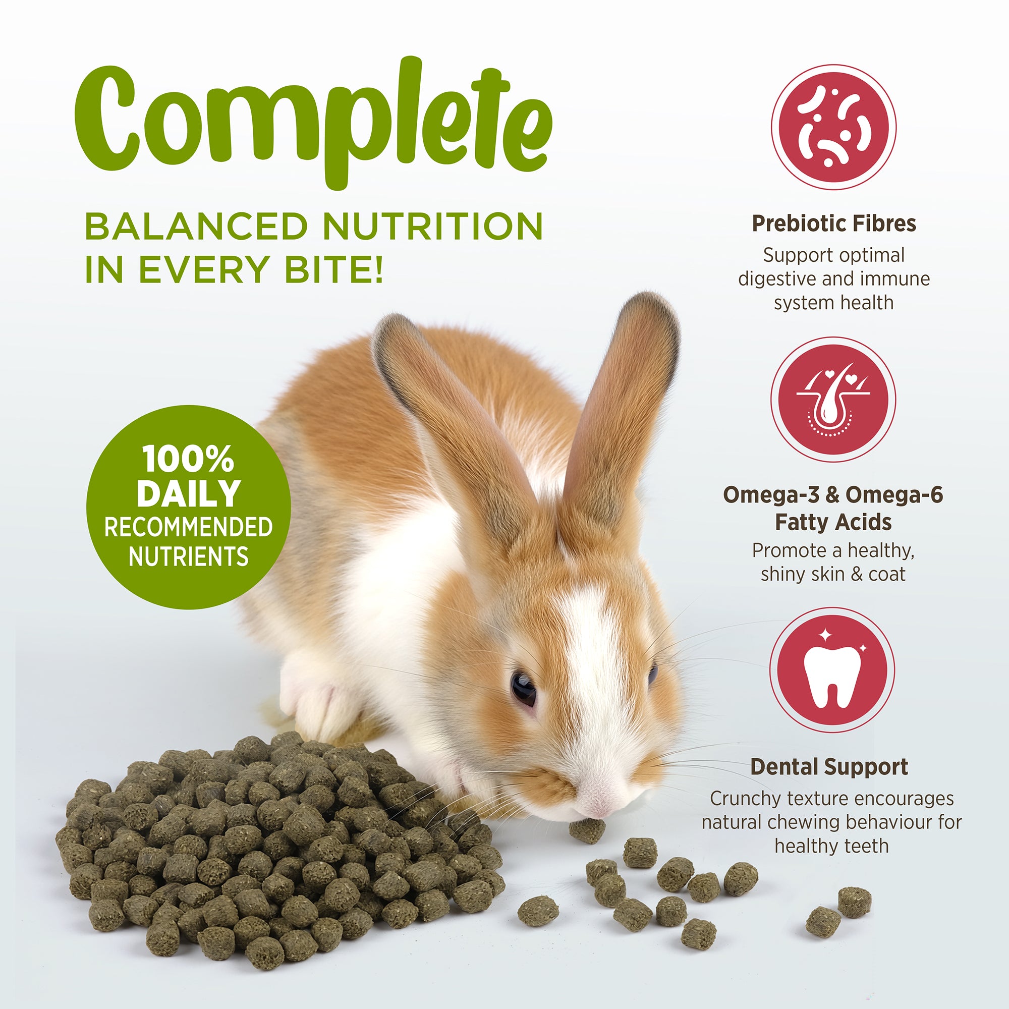 Living World Extrusion Diet For Rabbits