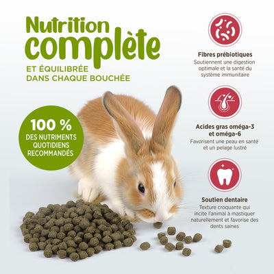Living World Extrusion Diet For Rabbits