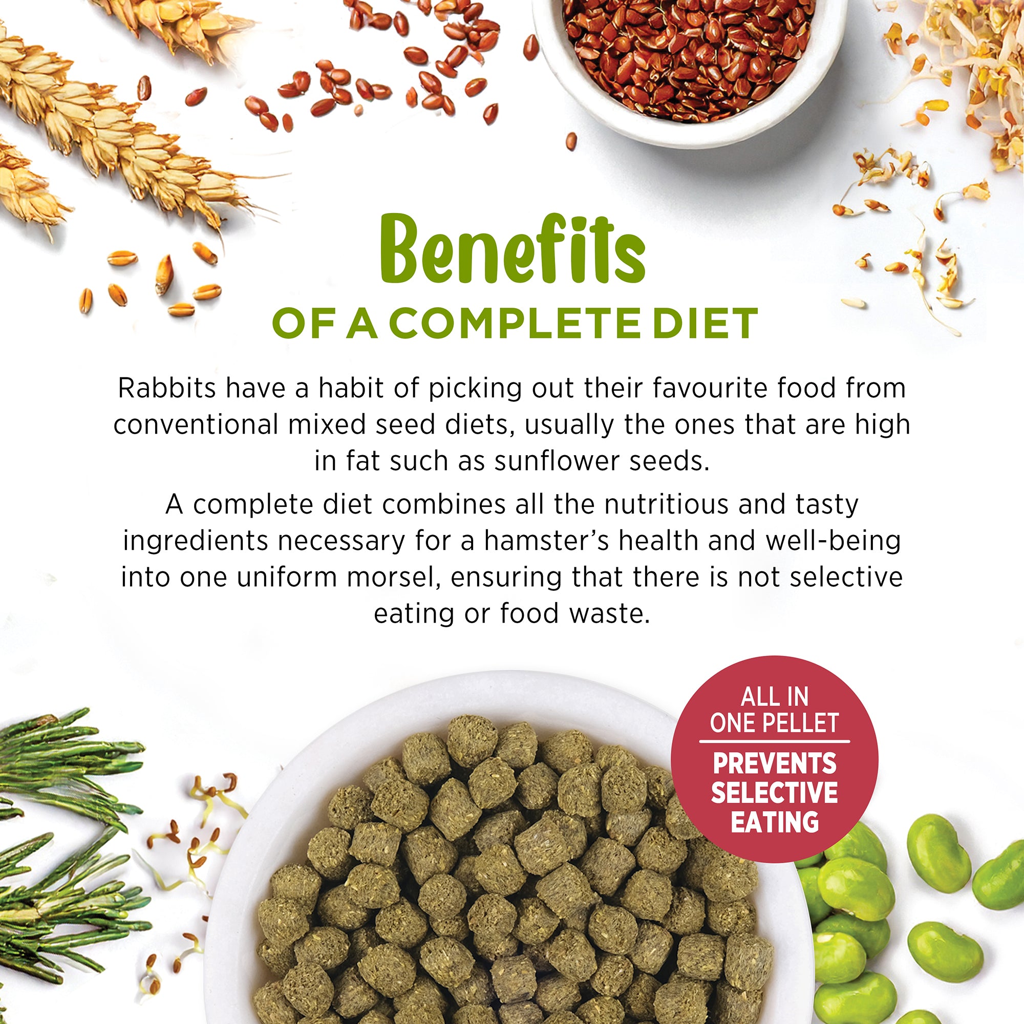 Living World Extrusion Diet For Rabbits