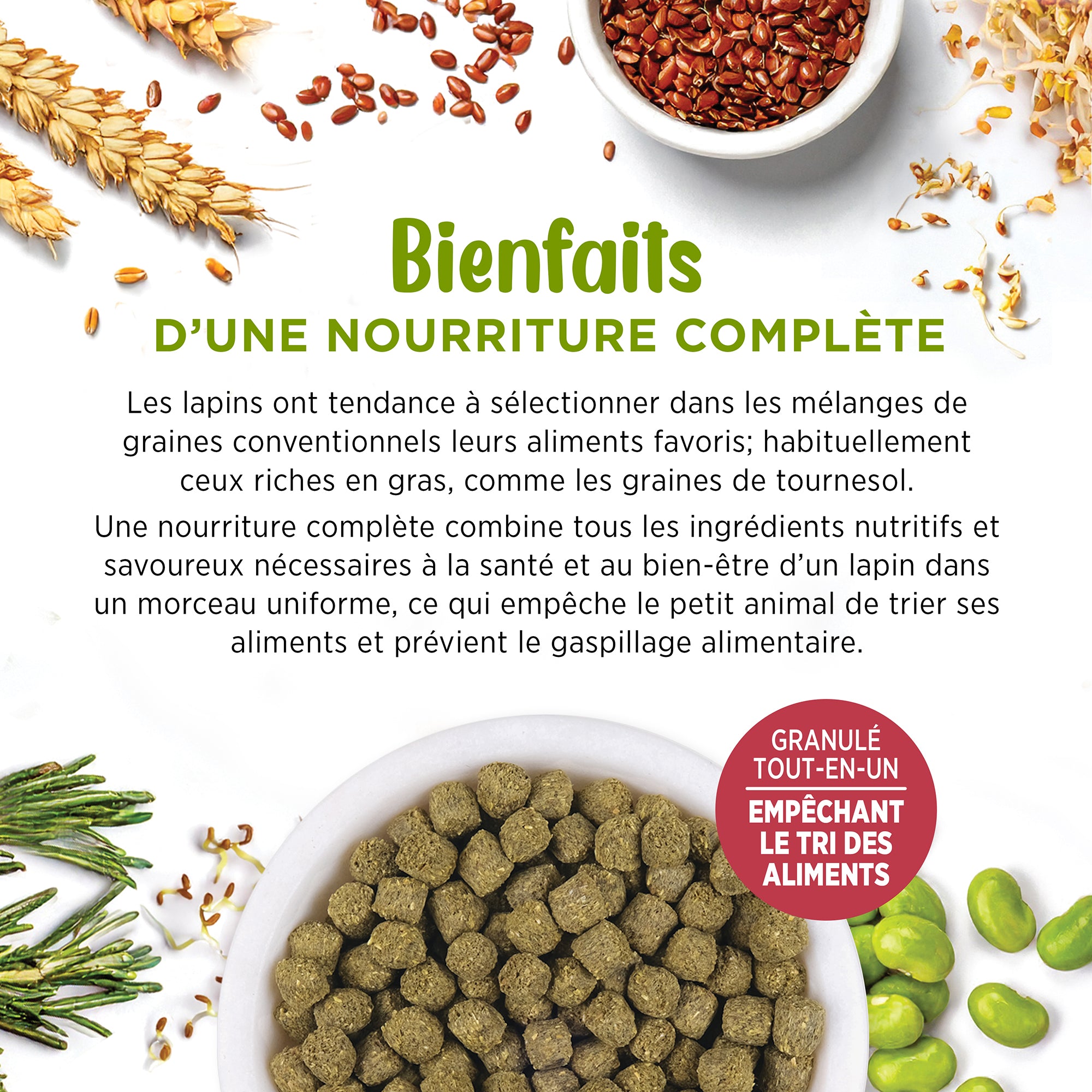 Living World Extrusion Diet For Rabbits