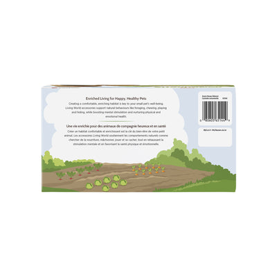 Living World Edible Acorn Home Hideout with Dish for Small Animals - Small Animal - Living World - PetMax Canada