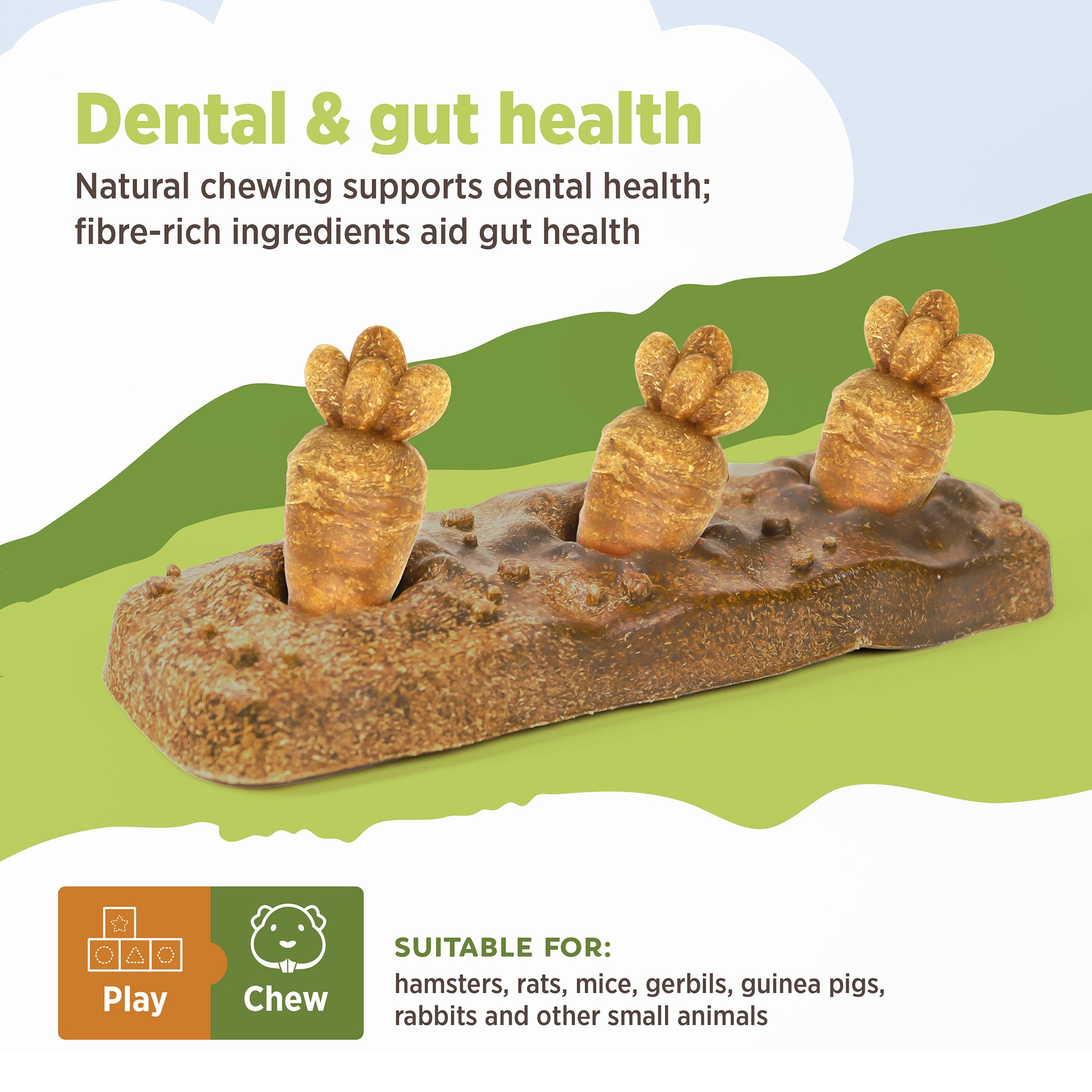 Living World Edible Carrot Patch Chew | PetMax Canada