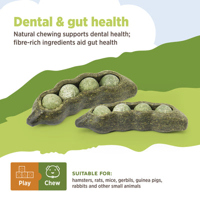 Living World Edible Pea Pods Chew Toy for Small Animals - 3 Pack - Small Animal - Living World - PetMax Canada