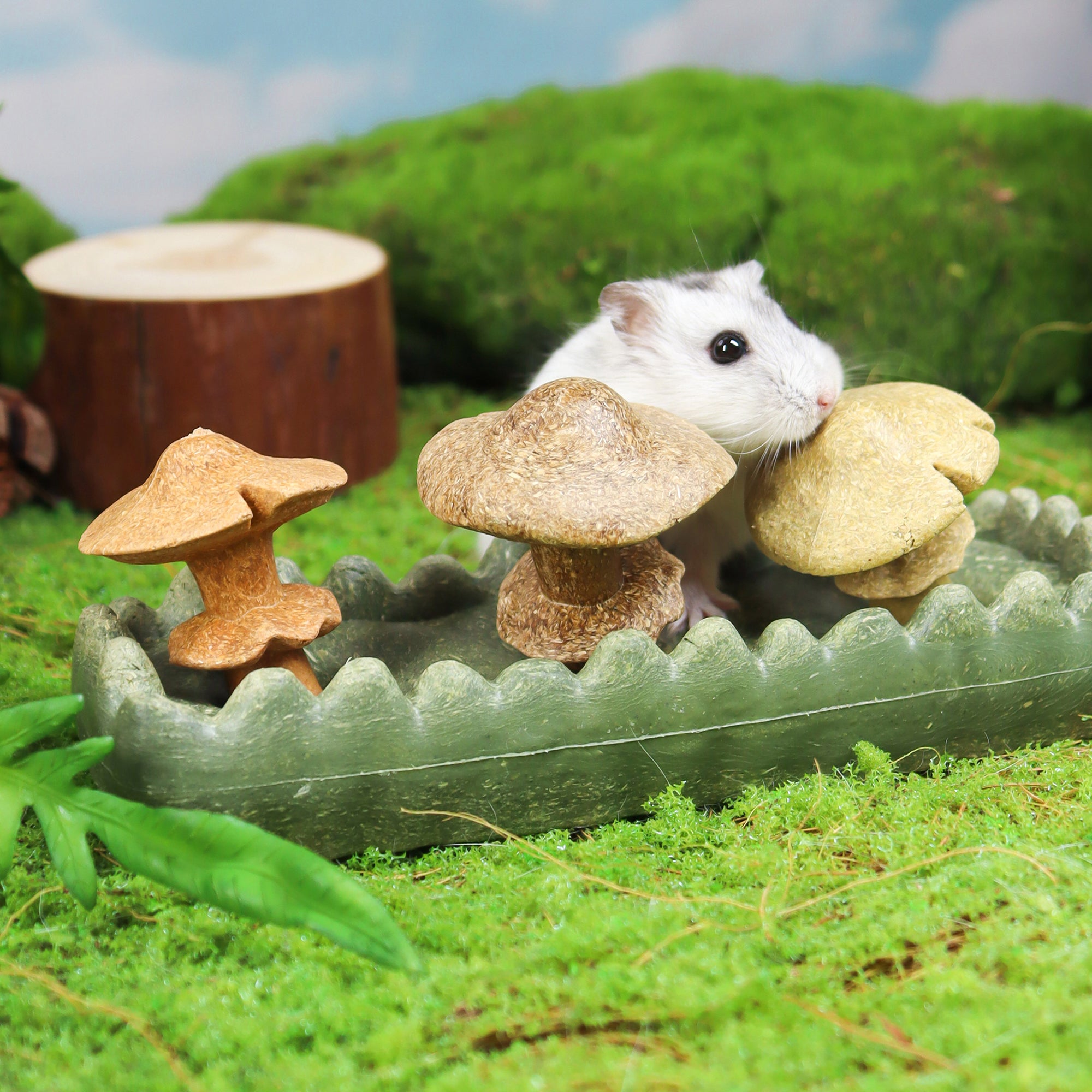 Living World Edible Mushrooms Chew Toy for Small Animals - Small Animal - Living World - PetMax Canada