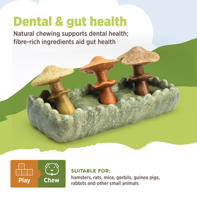Living World Edible Mushrooms Chew Toy for Small Animals - Small Animal - Living World - PetMax Canada