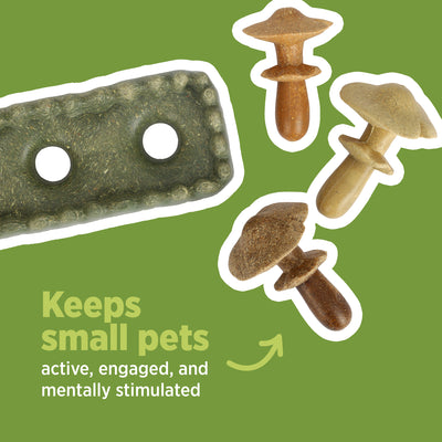 Living World Edible Mushrooms Chew Toy for Small Animals - Small Animal - Living World - PetMax Canada