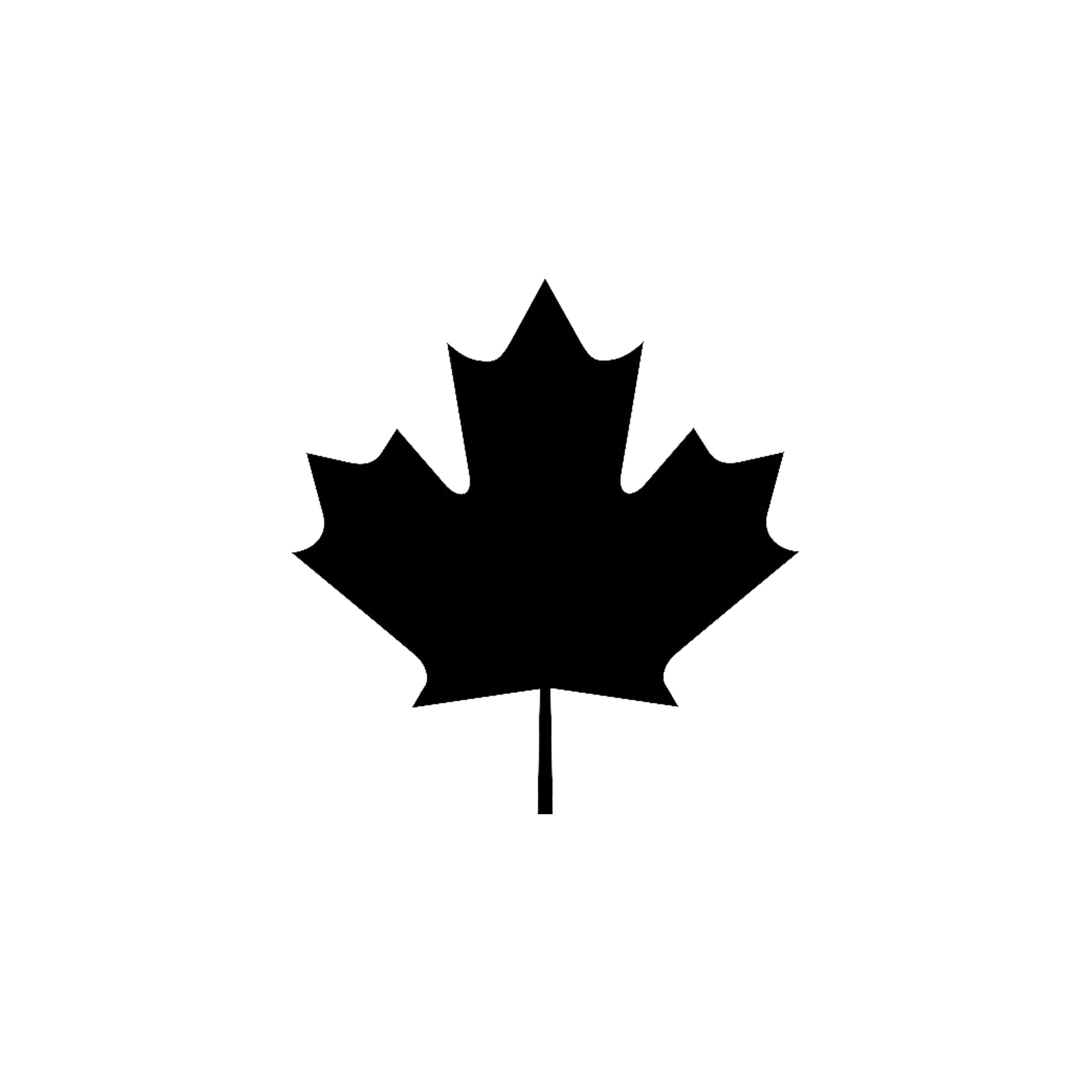 Dog Food Made in Canada