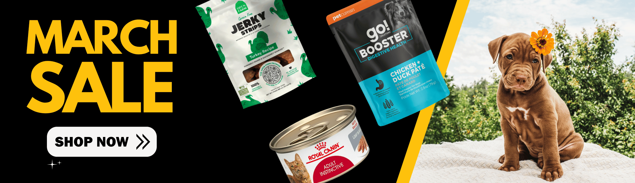 Dog food deals online outlet