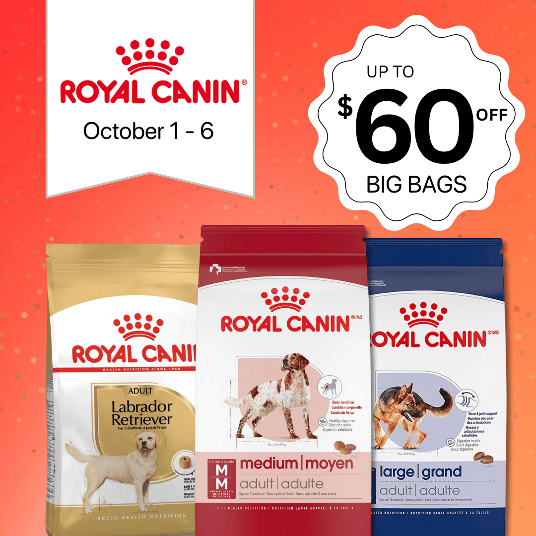 Royal Canin dog food packages with a promotional banner on an orange background