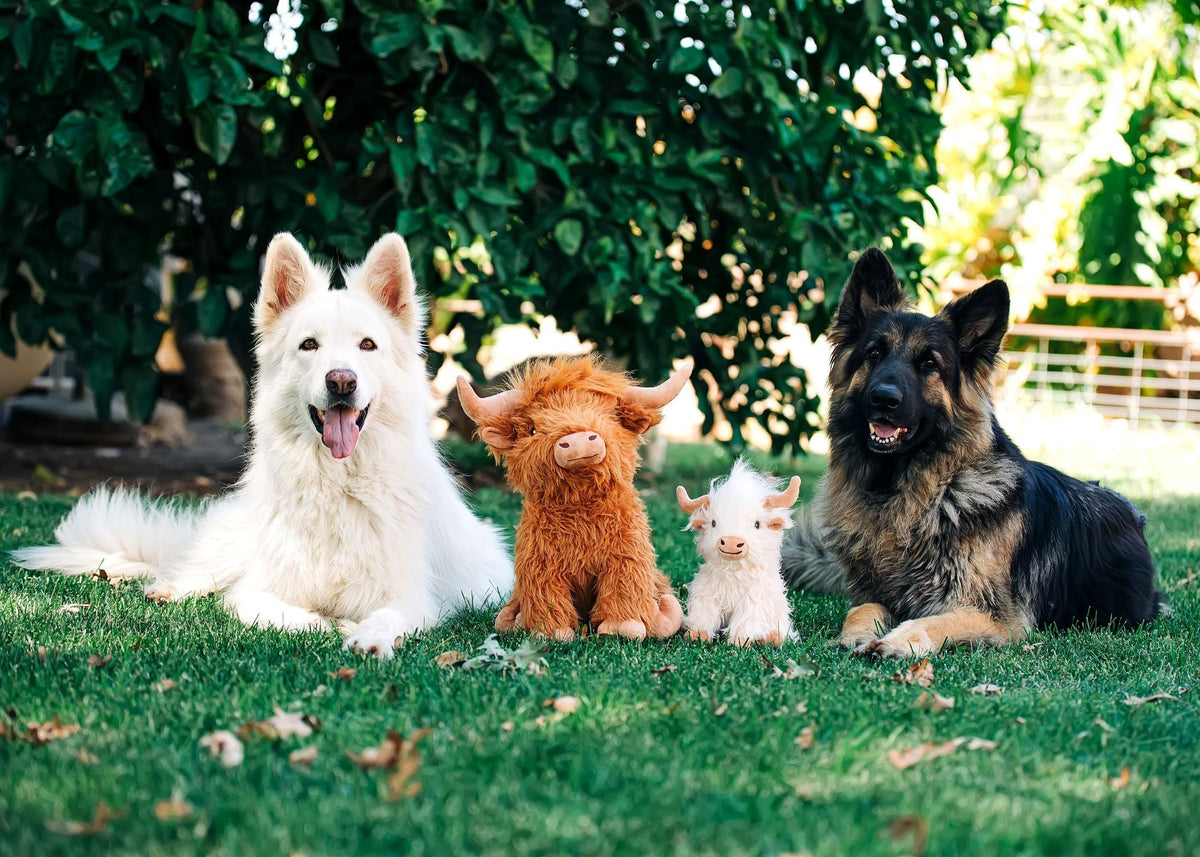 Multipet Highland Cow Plush Dog Toy - 14 inch and 8 inch with dogs - Dog Toy - Multipet - PetMax Canada