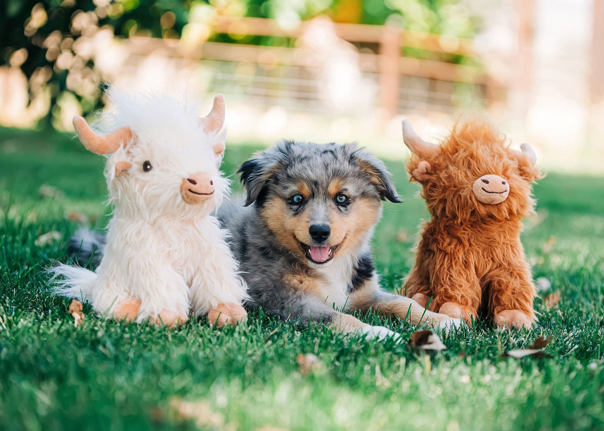 Multipet Highland Cow Plush Dog Toy - 8 inch with puppy - Dog Toy - Multipet - PetMax Canada