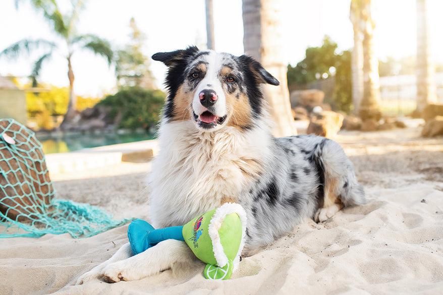 Multipet Margaritaville Margarita Glass Plush Dog Toy - Dog Toy - Multipet - PetMax Canada