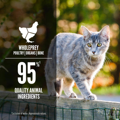 Orijen Duck + Chicken Entrée Wet Cat Food Recipe - 85g - Canned Cat Food - Orijen - PetMax Canada