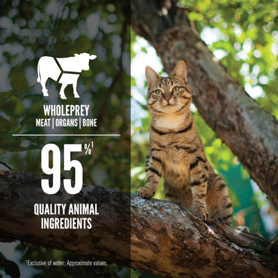 Orijen Tuna + Beef Entrée Wet Cat Food Recipe - 85g - Canned Cat Food - Orijen - PetMax Canada