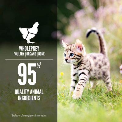 Orijen Wet Cat Chicken + Salmon Entrée - Kitten Recipe - 85g - Canned Cat Food - Orijen - PetMax Canada