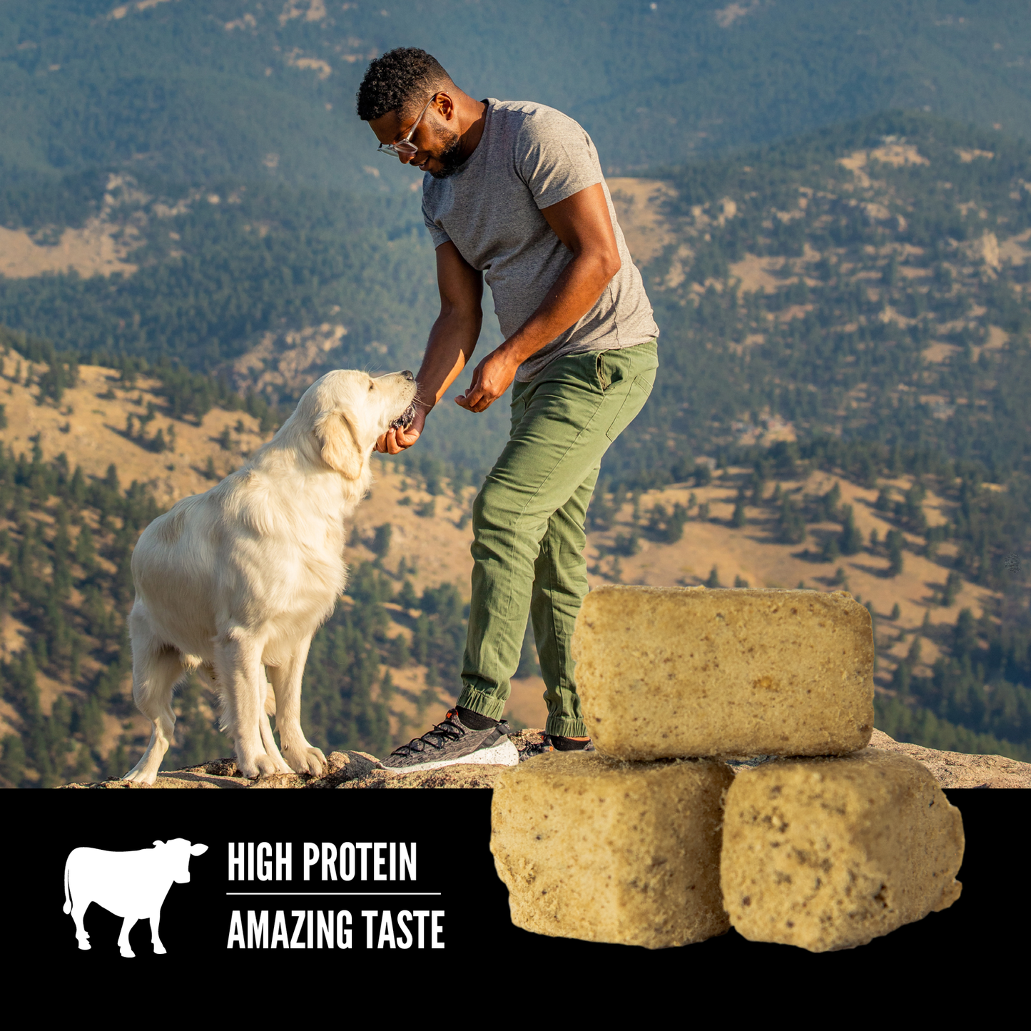 Orijen Freeze-Dried Dog Treats Ranch-Raised Beef Formula  Dog Treats  | PetMax Canada