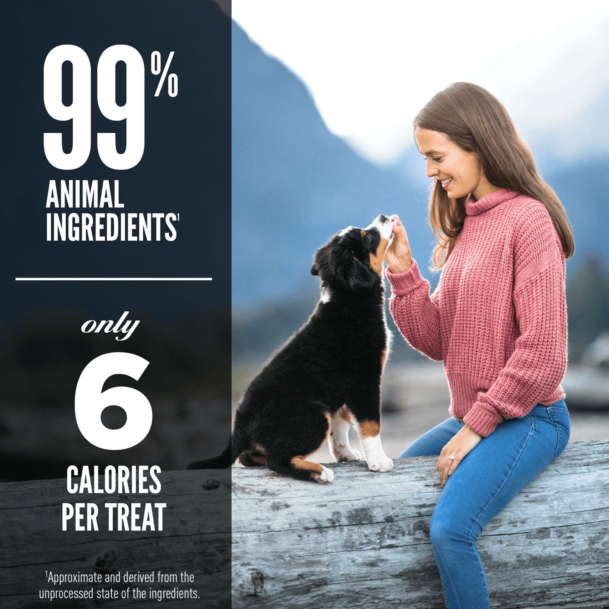 Orijen Freeze-Dried Dog Treats Grass-Fed Lamb Formula - 92g - Dog Treats - Orijen - PetMax Canada