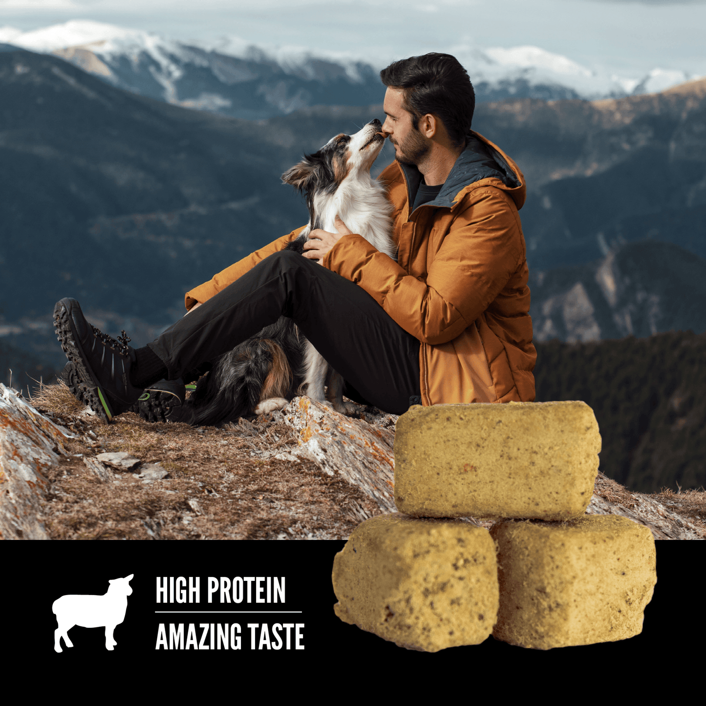 Orijen Freeze-Dried Dog Treats Grass-Fed Lamb Formula - 92g - Dog Treats - Orijen - PetMax Canada
