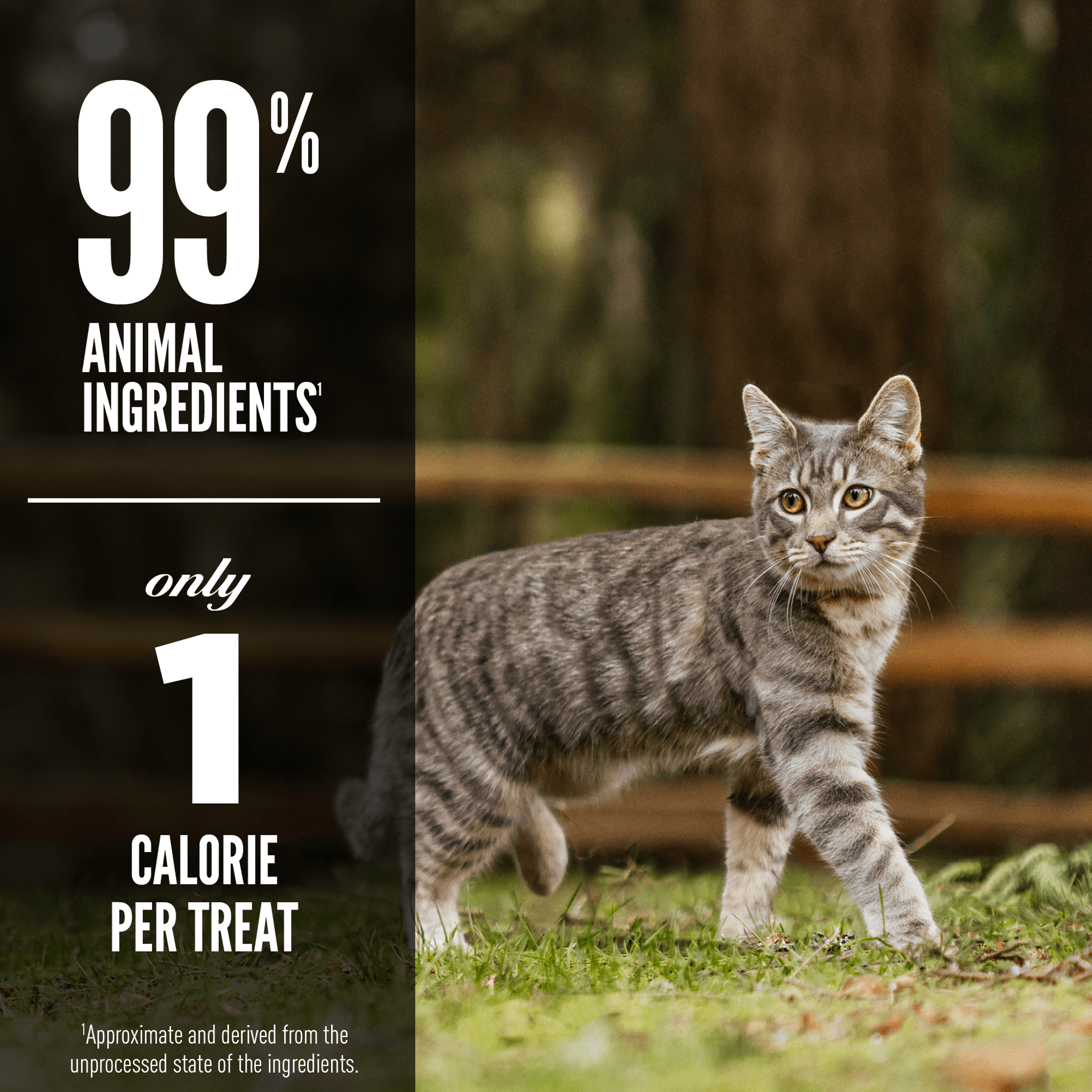 Orijen Freeze-Dried Cat Treats Original - 35g - Cat Food - Orijen - PetMax Canada