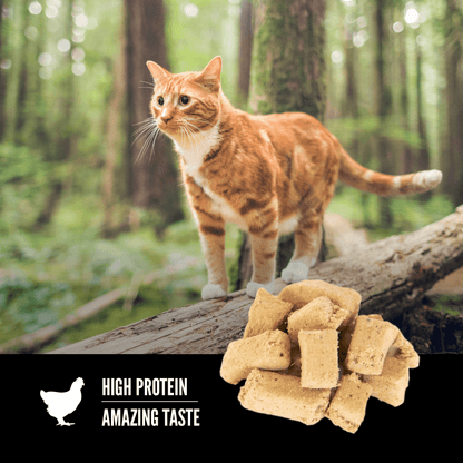 Orijen Freeze-Dried Cat Treats Original - 35g - Cat Food - Orijen - PetMax Canada