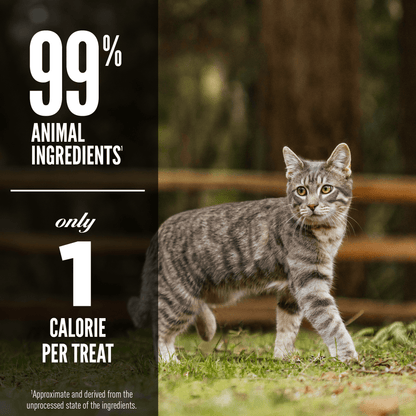 Orijen Freeze-Dried Cat Treats Six Fish - 35g - Cat Food - Orijen - PetMax Canada