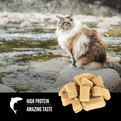 Orijen Freeze-Dried Cat Treats Six Fish - 35g - Cat Food - Orijen - PetMax Canada
