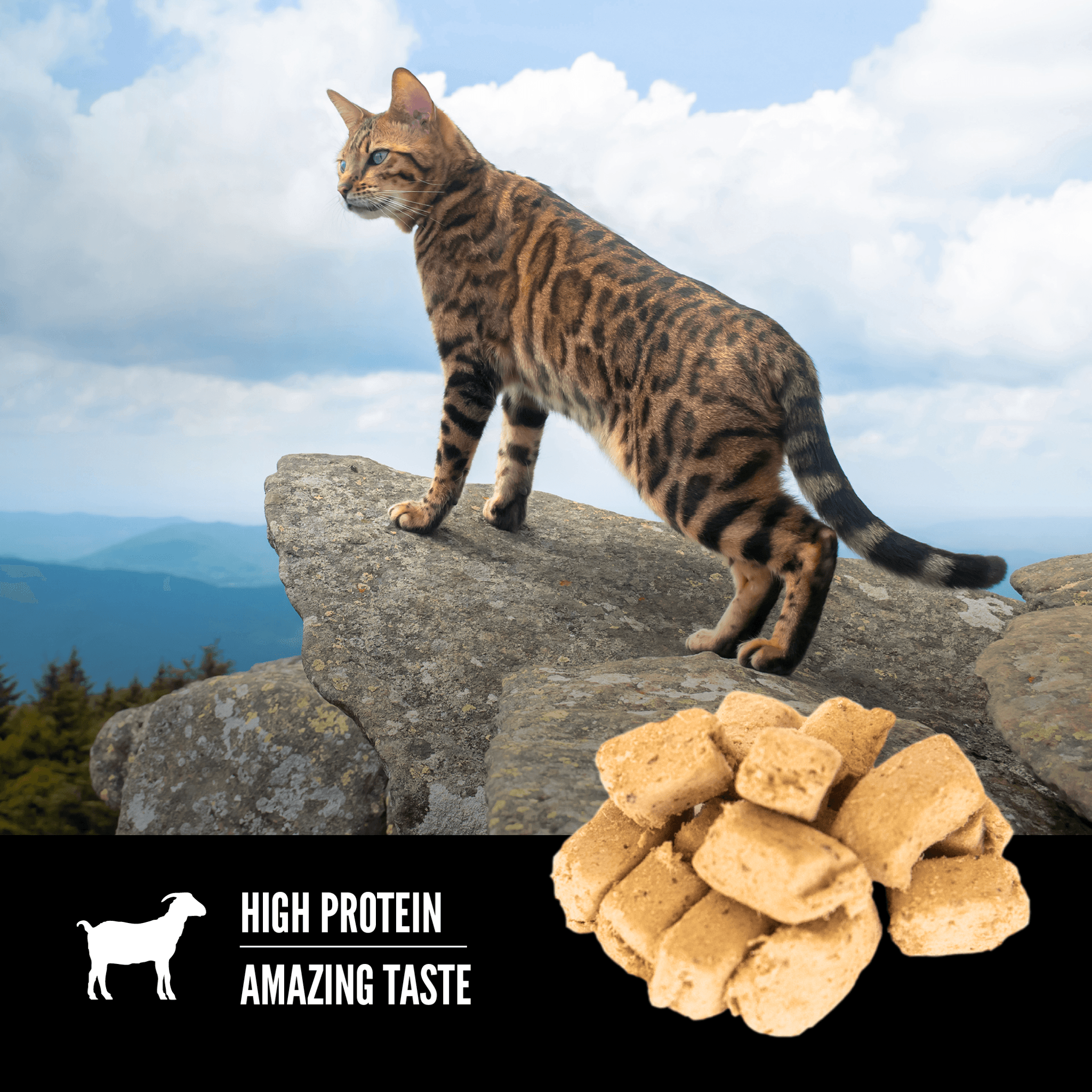 Orijen Freeze-Dried Cat Treats Tundra - 35g - Cat Food - Orijen - PetMax Canada