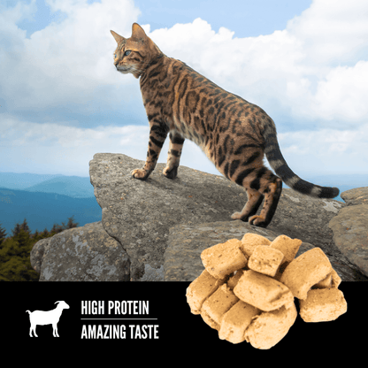 Orijen Freeze-Dried Cat Treats Tundra - 35g - Cat Food - Orijen - PetMax Canada