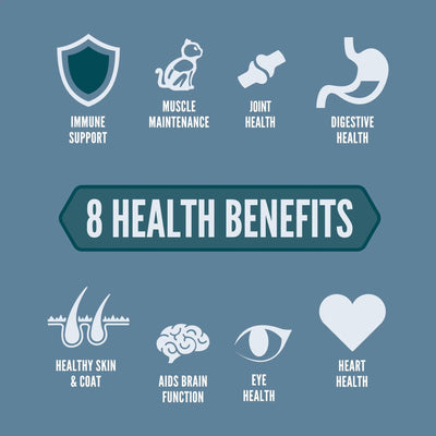 Orijen Guardian 8 Dry Cat Food Recipe - 1.8 Kg - Cat Food - Orijen - PetMax Canada