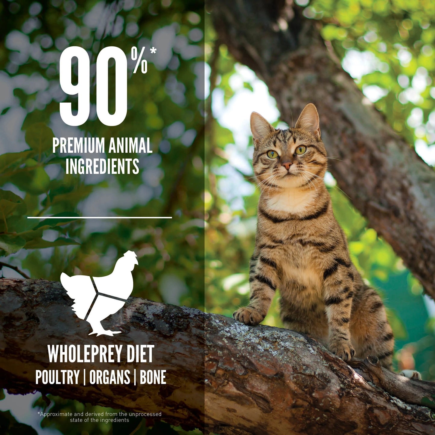 Orijen Guardian 8 Dry Cat Food Recipe  Cat Food  | PetMax Canada