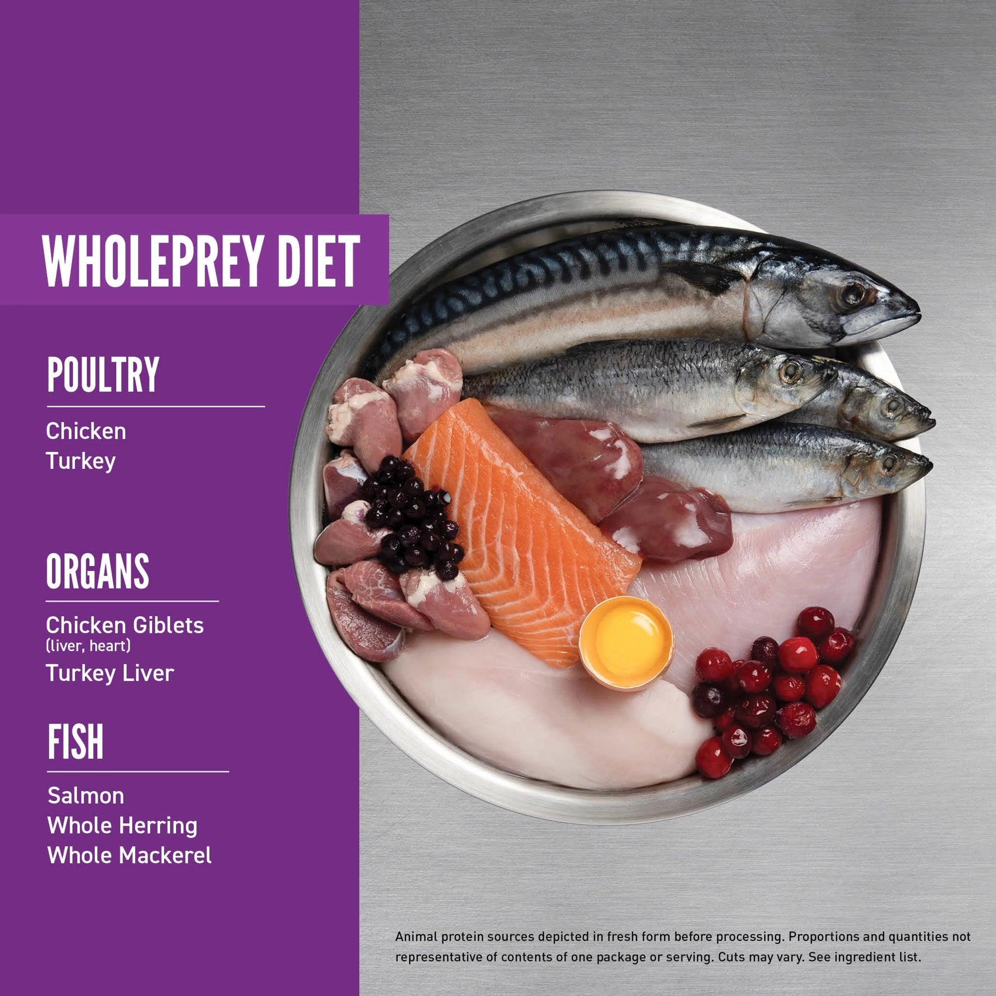 Orijen Kitten Recipe - 1.8 Kg - Cat Food - Orijen - PetMax Canada