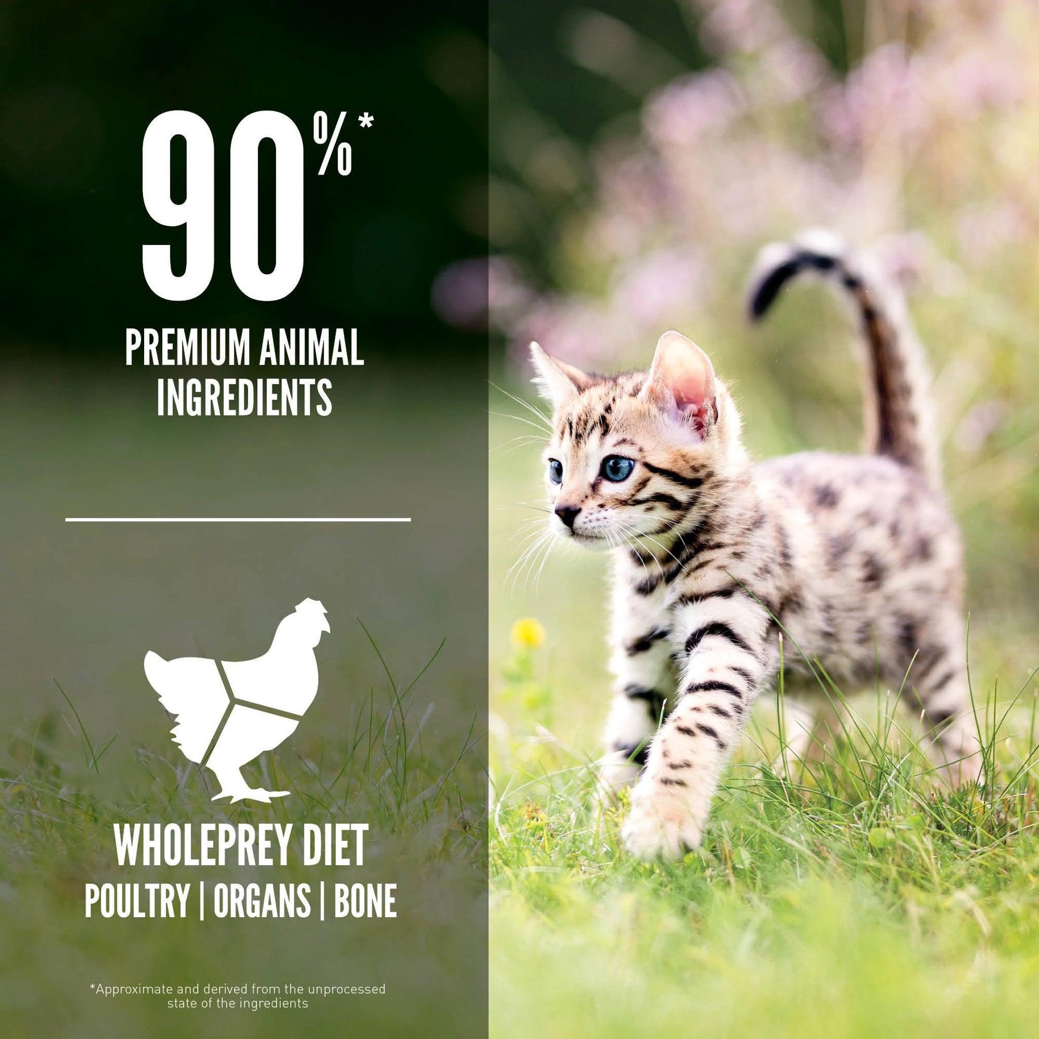 Orijen Kitten Recipe - 1.8 Kg - Cat Food - Orijen - PetMax Canada