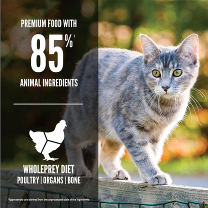 Orijen Original Cat Food Recipe - 1.8 Kg - Cat Food - Orijen - PetMax Canada