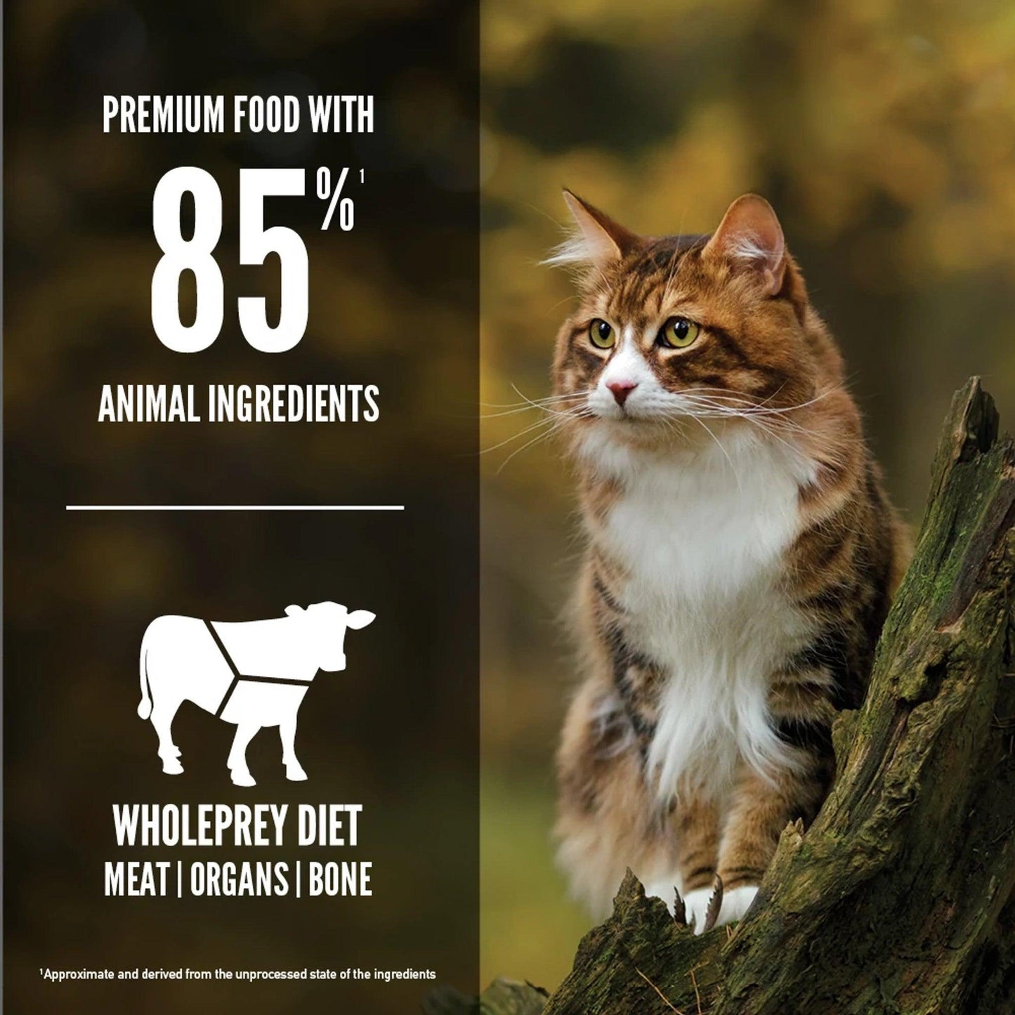 Orijen Regional Red Dry Cat Food Recipe  Cat Food  | PetMax Canada