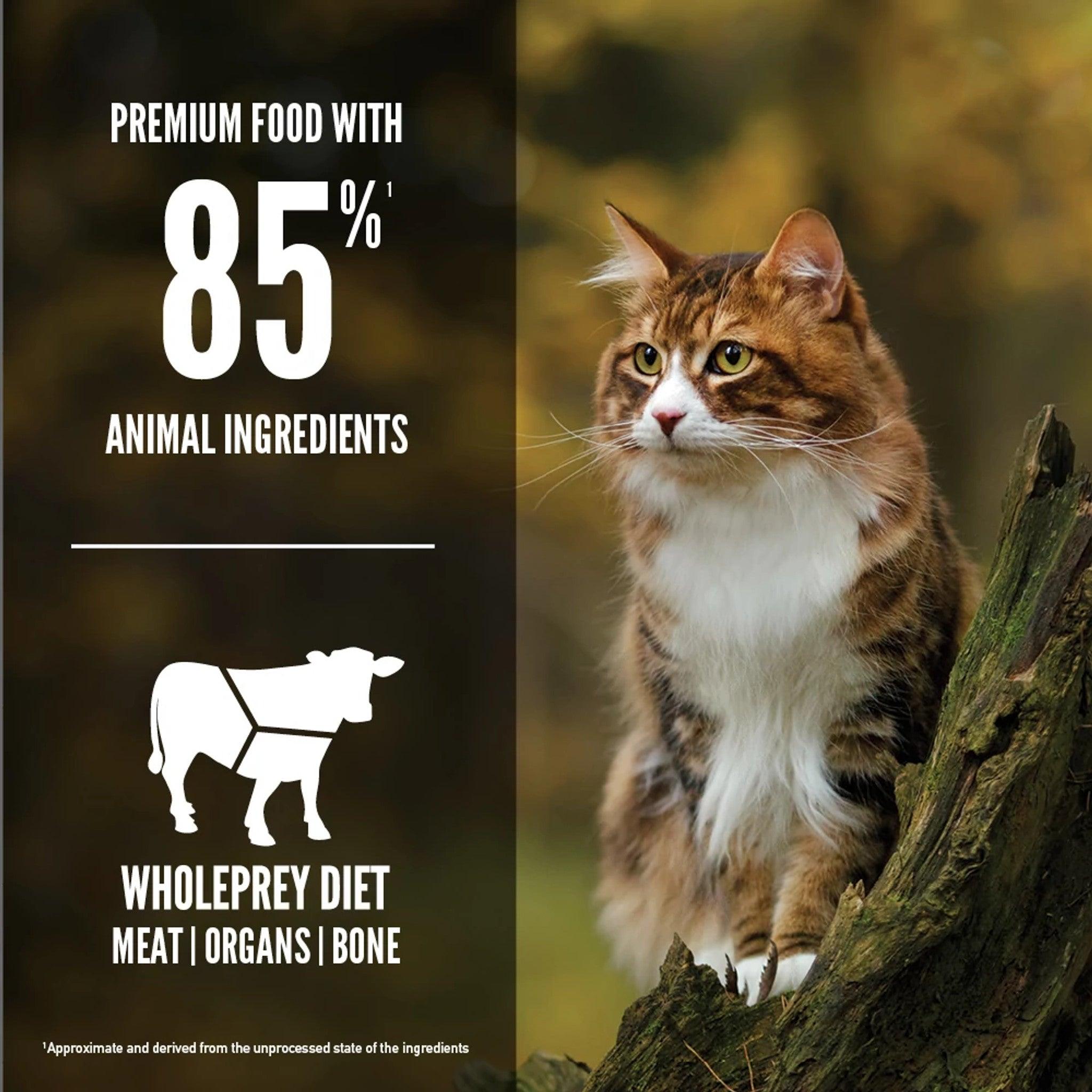 Orijen Regional Red Dry Cat Food Recipe - 1.8 Kg - Cat Food - Orijen - PetMax Canada