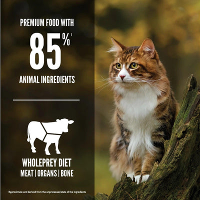 Orijen Regional Red Dry Cat Food Recipe - 1.8 Kg - Cat Food - Orijen - PetMax Canada