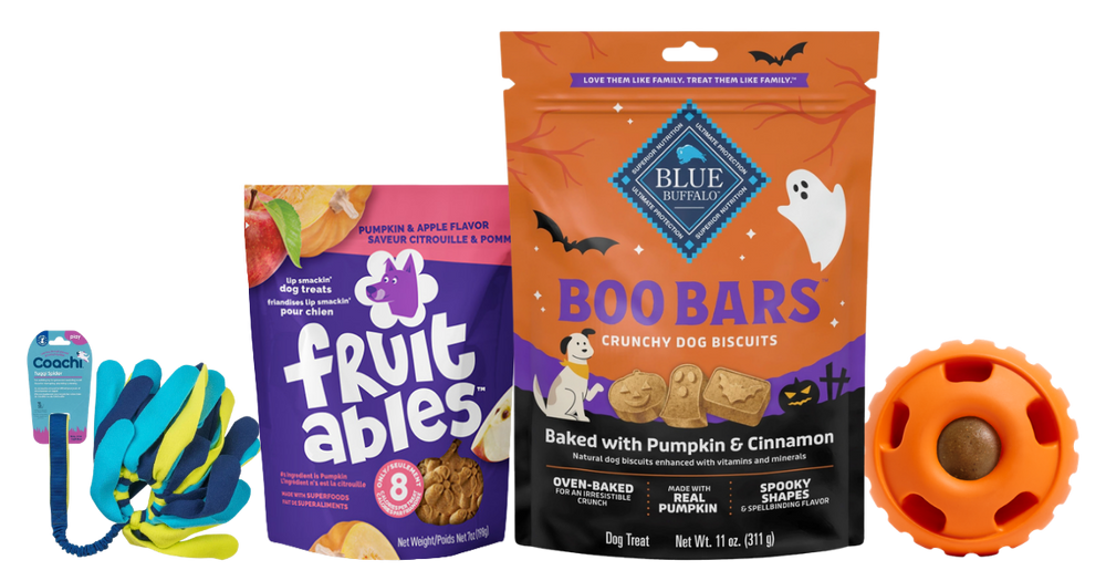 Pumpkin dog treats and Halloween pet toys