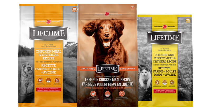 Lifetime