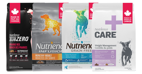 PetMax October 2026 deal: Oct26 Nutrience Dog Big Bags