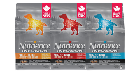 Nutrience Infusion