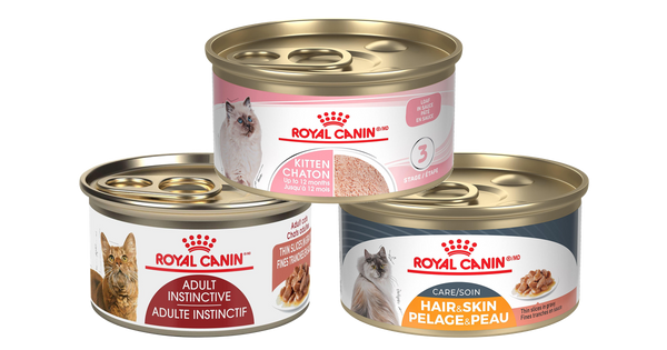PetMax October 2026 deal: Oct26 Royal Canin Cat 85g Cans