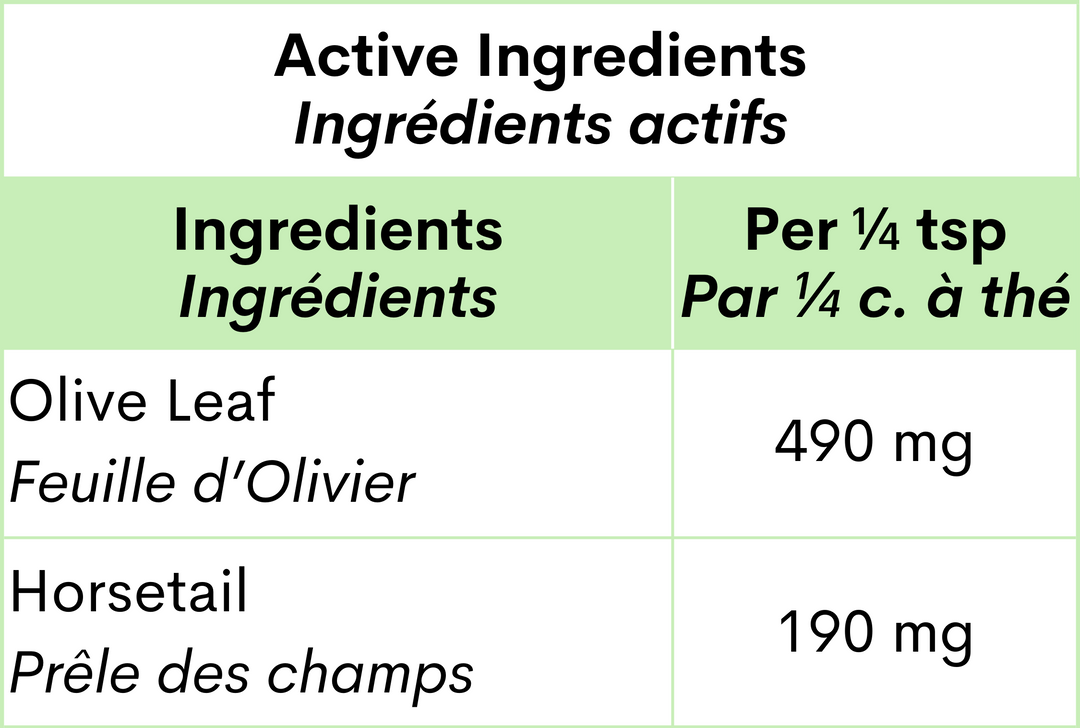 Blends For Life Green Olive Leaf+ Supplement For Dogs