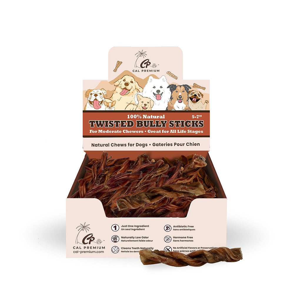 Cal Premium Twisted Bully Stick Dog Chew - 5-7 inch counter display box with a loose twisted bully stick - PetMax Canada
