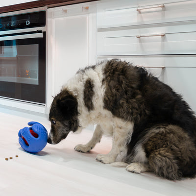 Kong Dog Rewards Wrapz