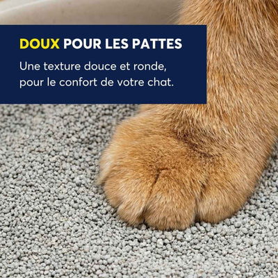 Odourlock Légère Lightweight Multi-Cat Clumping Litter - Soft On Paws - Odourlock - PetMax Canada