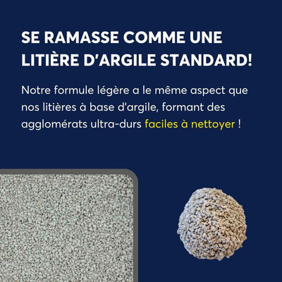 Odourlock Légère Lightweight Multi-Cat Clumping Litter - Ultra-Hard Clumps Scoop Like Clay - Odourlock - PetMax Canada