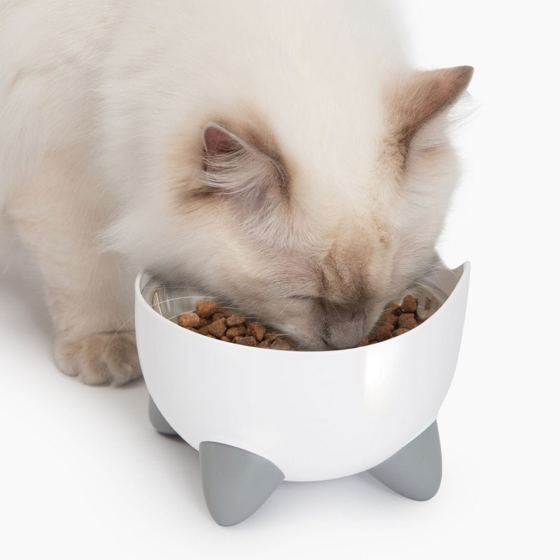 Catit Pixi Fountain White Combo with Feeding Dish & 3 Filters