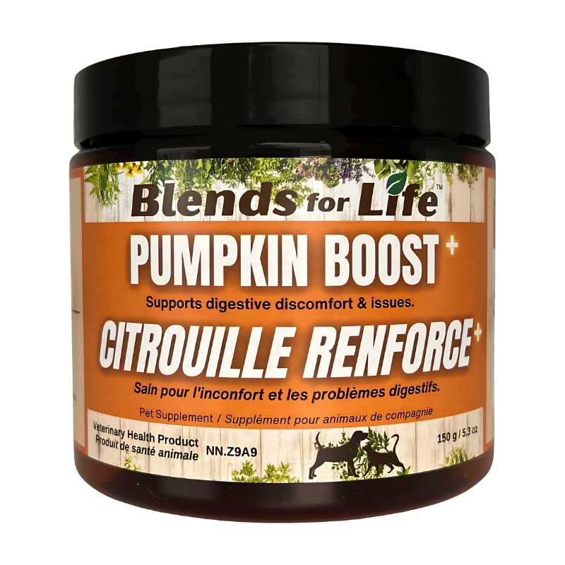 Blends For Life Pumpkin Boost+ Supplement For Dogs