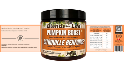 Blends For Life Pumpkin Boost+ Supplement For Dogs